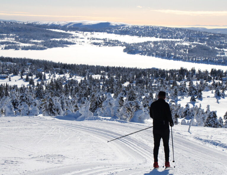35 turer i verdens beste skiterreng
