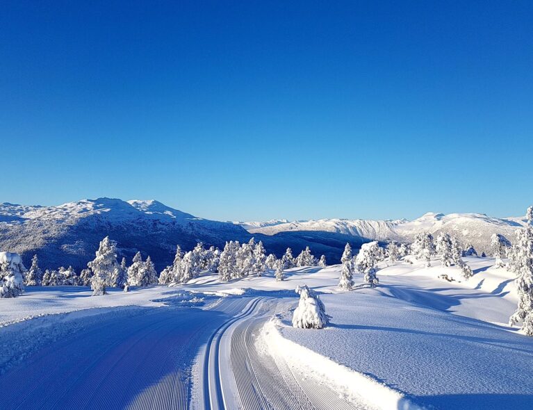 Møt mannen bak de vakre trikkesporene i Markane