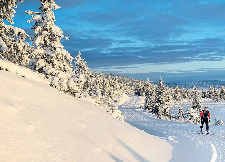 Slik velger du riktige ski