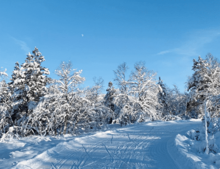 Samnangerrennet: 50 år siden sist Samnanger IL arrangerte KM