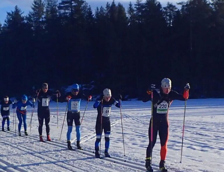 Alt du trenger å vite før Hauern og Halvhauern!