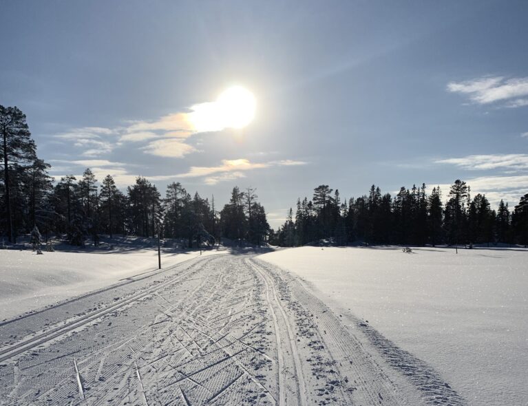 Isbolrennet byr på spurtpremier, gavekort og fruktkurver!